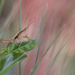 Seul face à l'immensité de l'univers