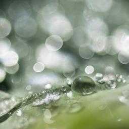 Sous les feux de la rampe